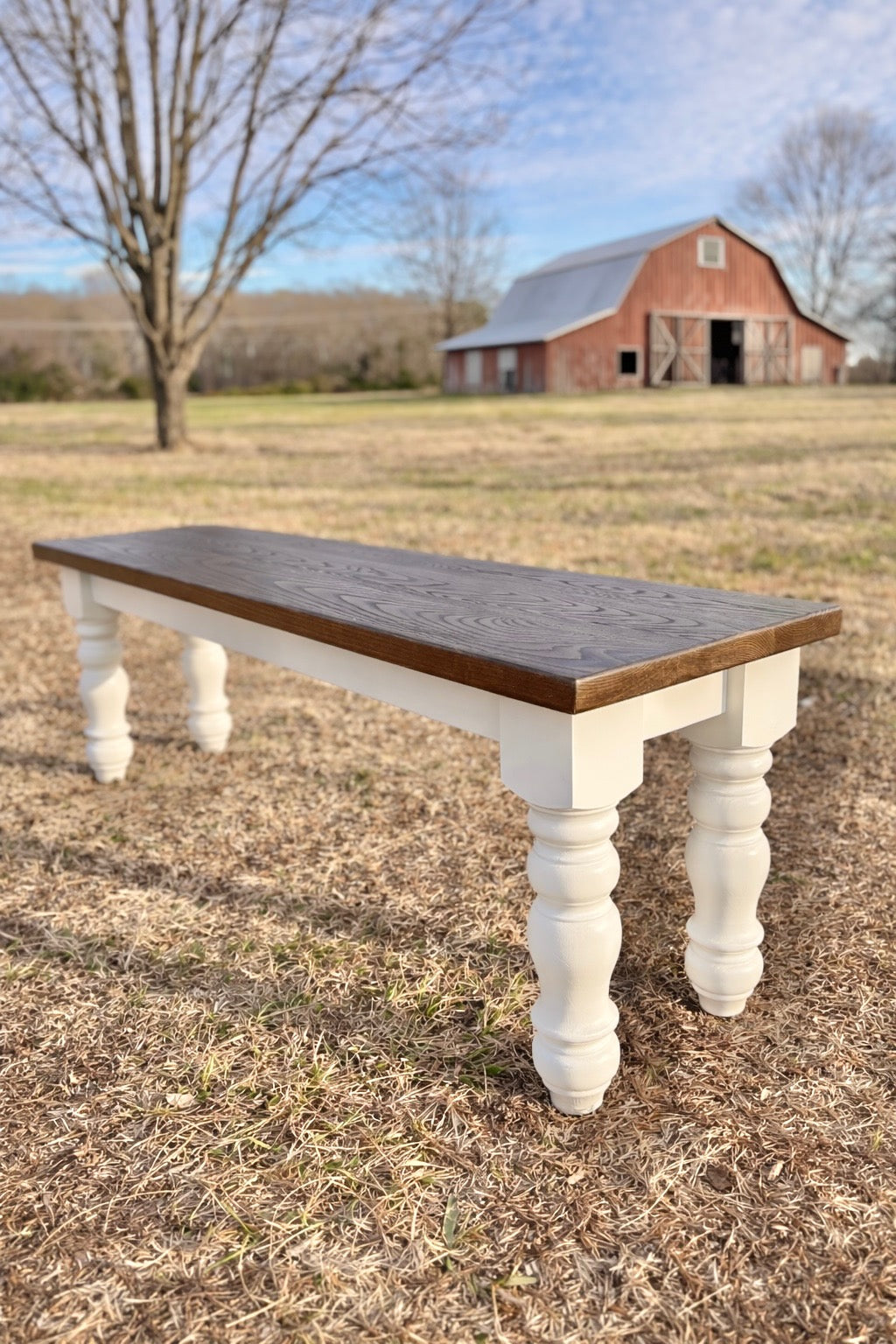The Wayne Bench